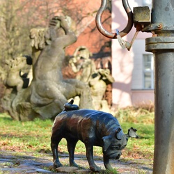 2026-01-08 Brandenburg an der Havel/Waldmöpse/DSC_2282.JPG